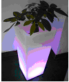 Flowerpot for rotational