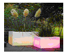 Flowerpot for rotational